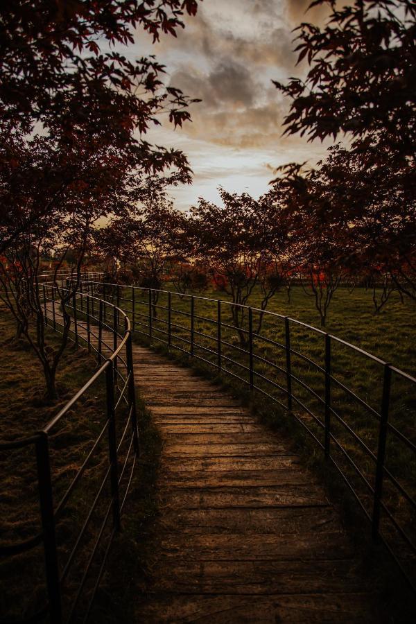 The Rudloe Near Bath - Marco Pierre White Коршам